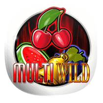 Multi Wild slot