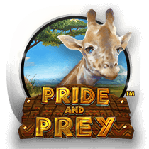 Pride and Prey slots