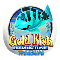Gold Fish Feeding Time slots