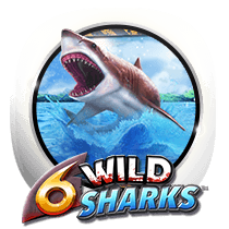 6 Wild Sharks slot