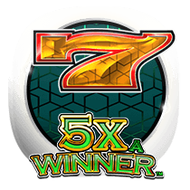 5X A Winner slot