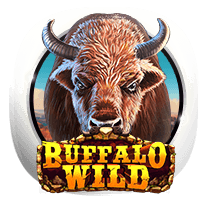 Buffalo Wild slots