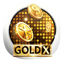 Gold X slot