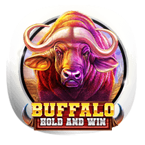 Buffalo Hold and Win slots