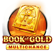 Book of Gold Multichance slots
