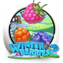 Winterberries 2  slot