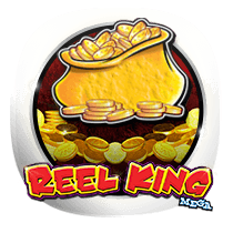 Reel King Mega slots