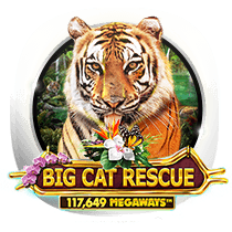 Big Cat Rescue Megaways slots