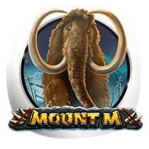 Mount M slots